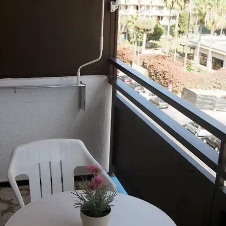 Estudio En Puerto De La Cruz *